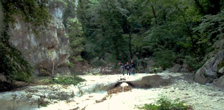 Wilderness totale